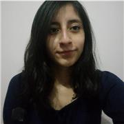 Docente de Enseñanza Básica Profesor/a sin experiencia